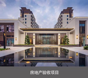 簡易升降二層智能停車設備房地產驗收項目